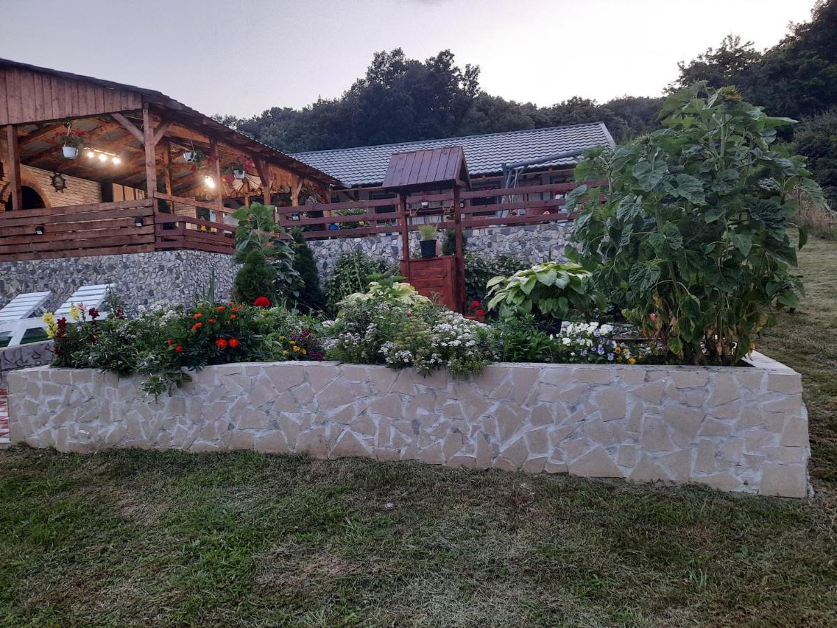 Casa Claudiu Villa Ieşelniţa Eksteriør bilde